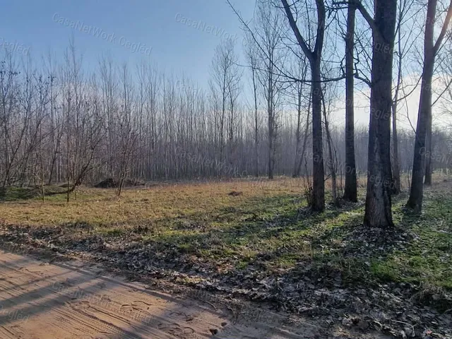 Eladó mezőgazdasági ingatlan Cegléd 2877 nm