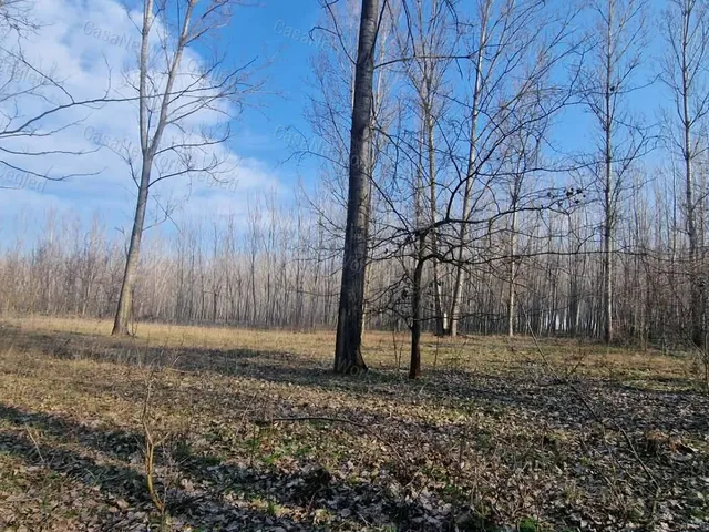 Eladó mezőgazdasági ingatlan Cegléd 2877 nm