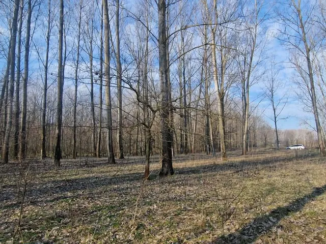 Eladó mezőgazdasági ingatlan Cegléd 2877 nm