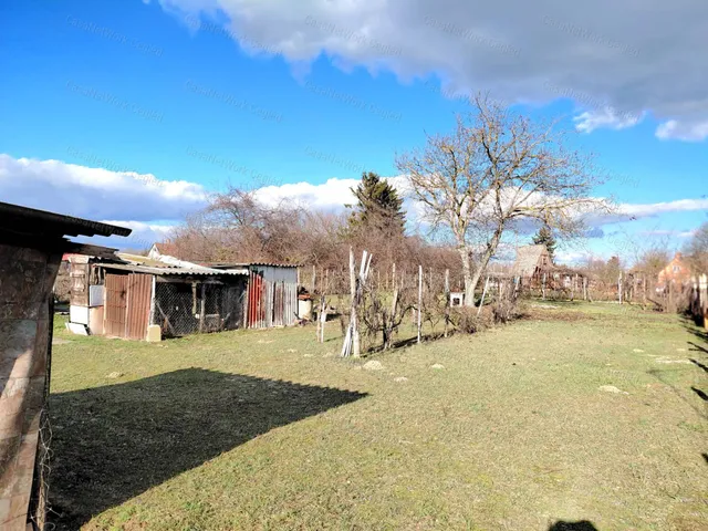 Eladó mezőgazdasági ingatlan Cegléd 25 nm