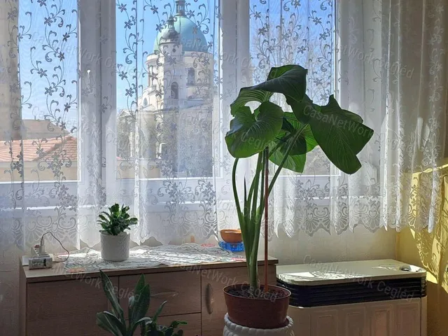 Eladó lakás Cegléd 70 nm