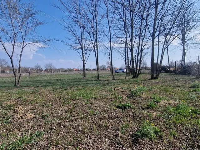 Eladó mezőgazdasági ingatlan Cegléd 1028 nm