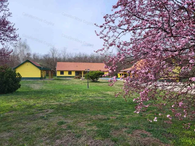 Eladó mezőgazdasági ingatlan Nagykőrös 105 nm