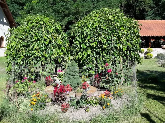 Eladó mezőgazdasági ingatlan Vasad 96 nm