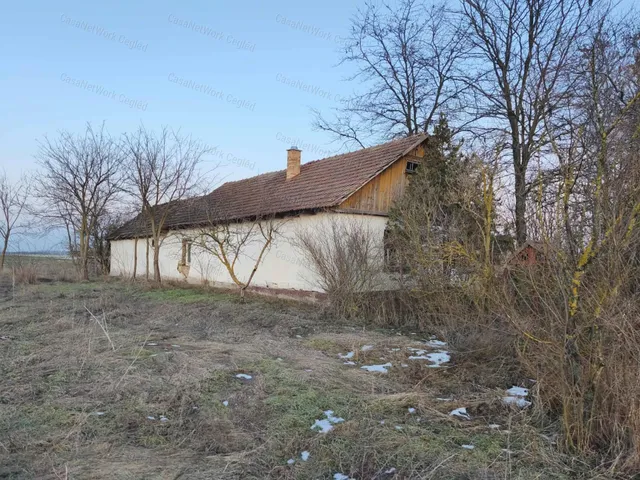 Eladó mezőgazdasági ingatlan Tápiószele 74 nm