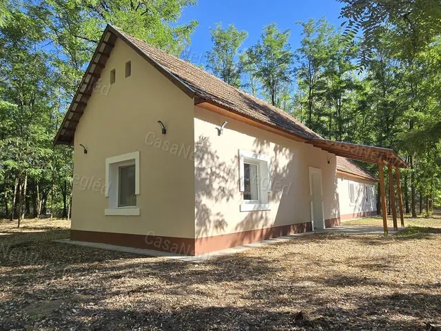 Eladó mezőgazdasági ingatlan Csemő 68 nm