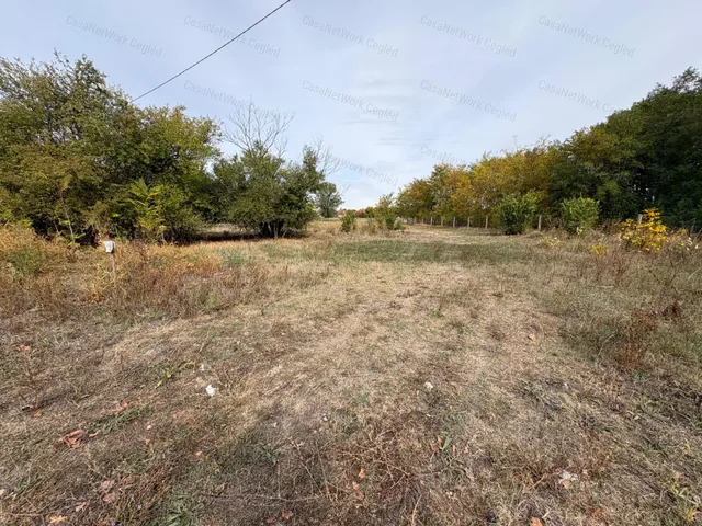 Eladó telek Cegléd 1579 nm