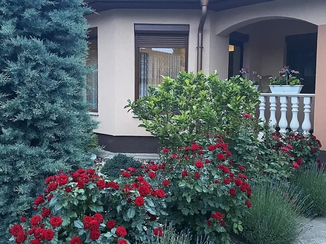 Eladó ház Mikepércs 142 nm