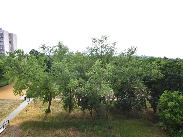 Eladó lakás Debrecen, Sestakert 51 nm