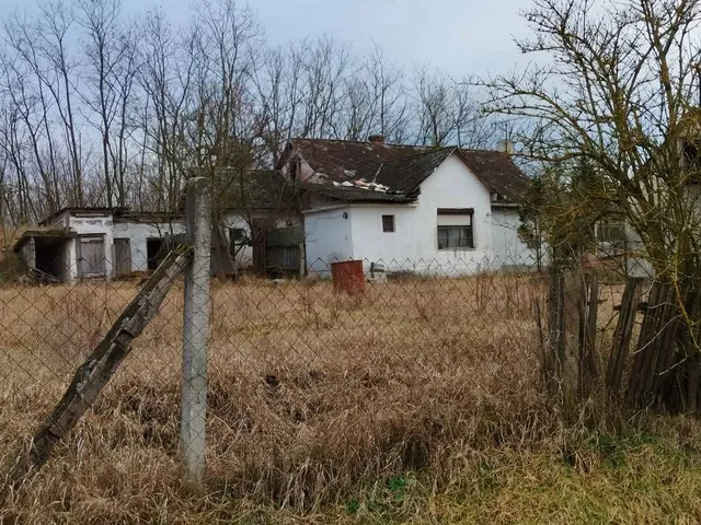 Eladó mezőgazdasági ingatlan Nyírmártonfalva 40 nm