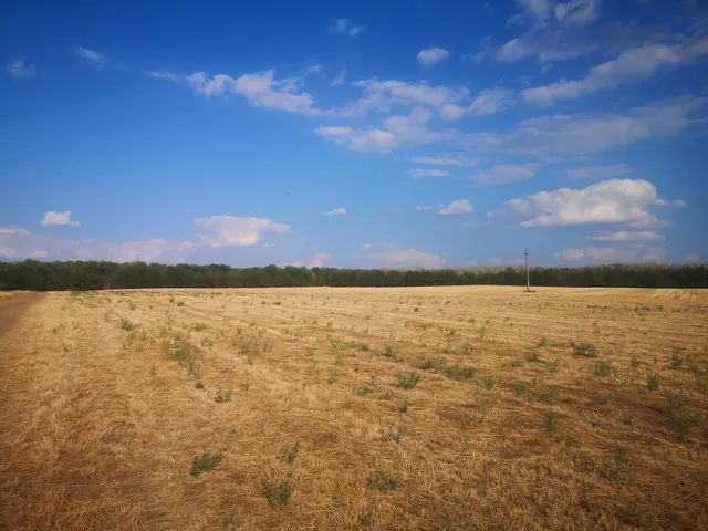 Eladó mezőgazdasági ingatlan Gyömrő 150000 nm