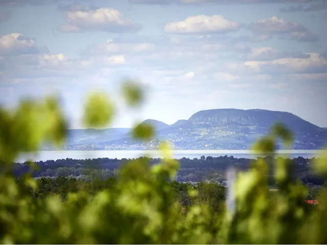 Eladó kereskedelmi és ipari ingatlan Kéthely, Balaton utca 150 nm