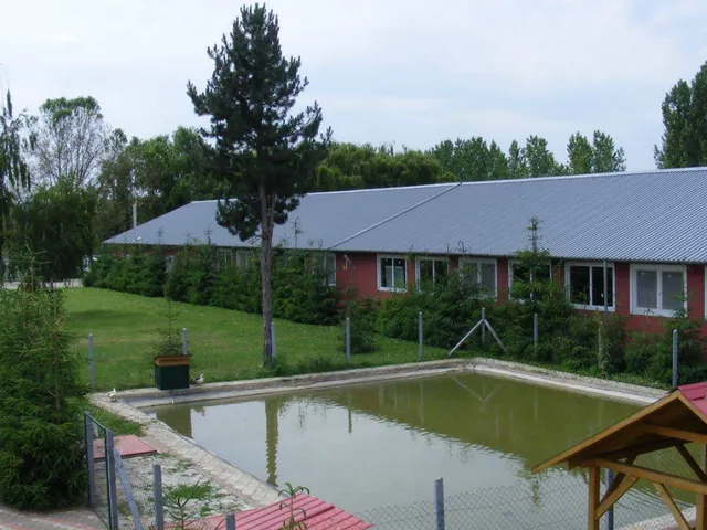 Eladó kereskedelmi és ipari ingatlan Kállósemjén 4475 nm