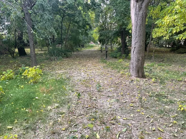 Eladó ház Tass 375 nm