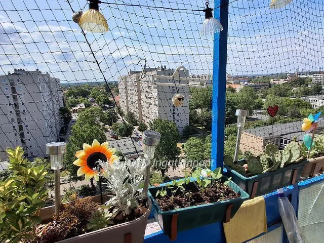 Eladó lakás Budapest XXI. kerület, Szabótelep 35 nm