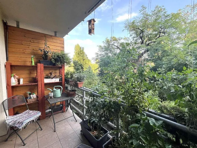 Eladó lakás Budapest X. kerület 43 nm