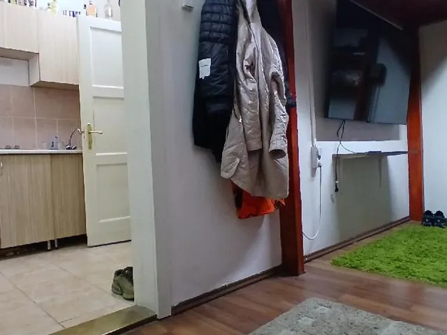 Eladó lakás Budapest VIII. kerület, Népszínháznegyed 19 nm