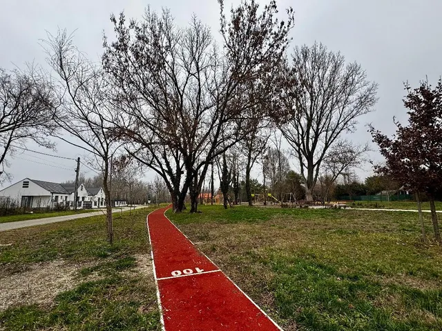 Eladó ház Szigetmonostor 196 nm