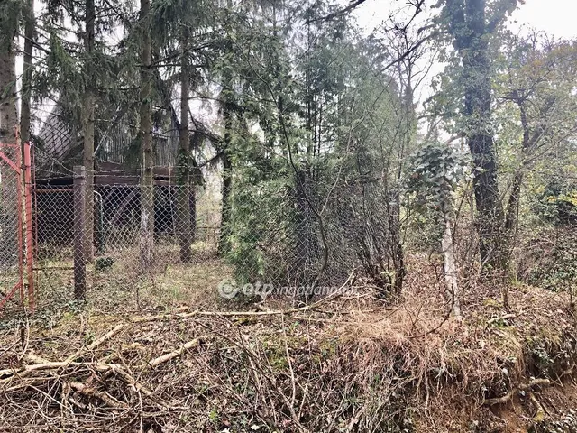 Eladó telek Kőszeg 2724 nm