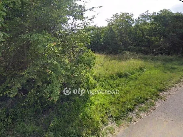 Eladó telek Balatonszárszó 3274 nm