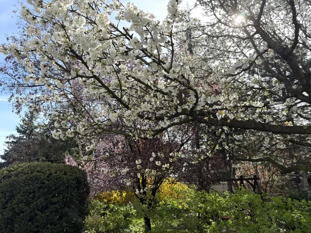 Eladó ház Budapest XXII. kerület, Budafok 350 nm