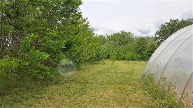 Eladó telek Albertirsa, Lugas dűlő