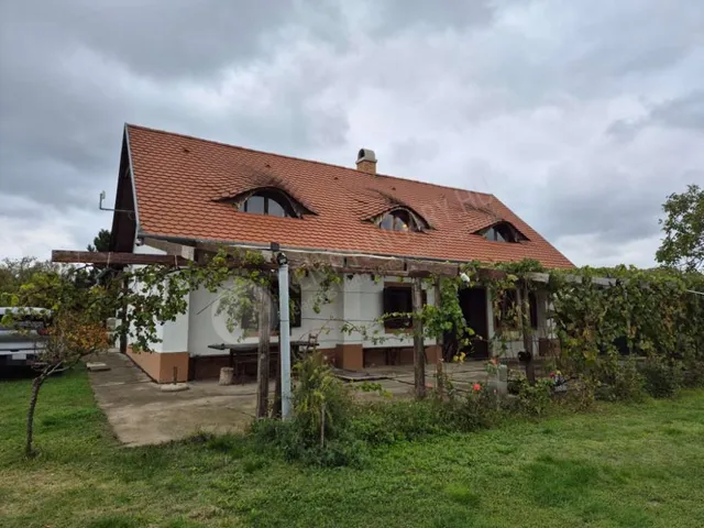 Eladó ház Lepsény 203 nm