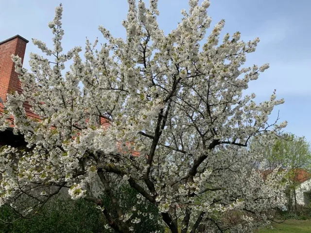 Eladó ház Fót, Kosztolányi Dezső utca 176 nm