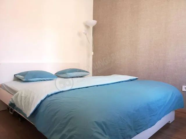 Kiadó lakás Budapest II. kerület, Horvát utca 46 nm