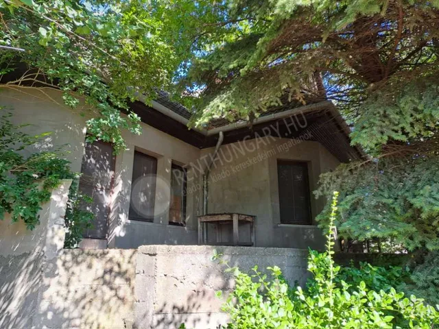 Eladó ház Szalkszentmárton 280 nm