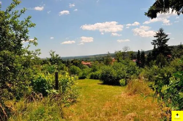 Eladó telek Kőszeg, Kőszegen a Szabó-hegyen csendes környezetben telek kedvező áron eladó 3000 nm