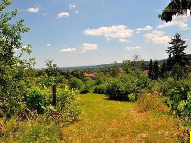 Eladó telek Kőszeg 3000 nm