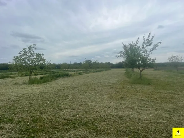Eladó telek Bük, Bükön eladó 6800 m²-es telek kiváló lehetőségekkel! 6800 nm