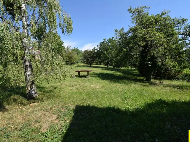 Eladó telek Kőszeg, Kőszegen, a Királyvölgyben 3117 m²-es telek eladó – kiváló lehetőség! 3117 nm