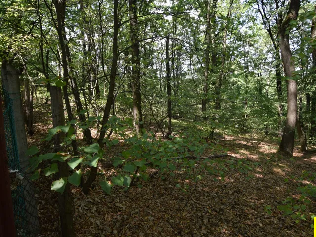 Eladó telek Kőszeg, Kőszegen 4.532 m²-es telek, tégla építésű nyaralóval és garázzsal eladó 4532 nm