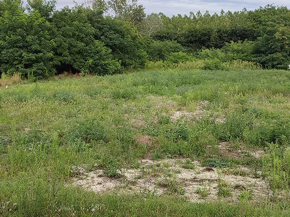 Eladó kereskedelmi és ipari ingatlan Inárcs 2860 nm