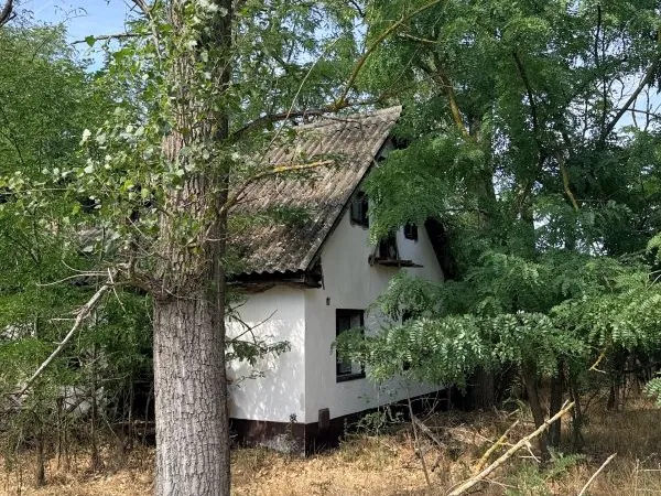 Eladó mezőgazdasági ingatlan Ócsa 9885 nm