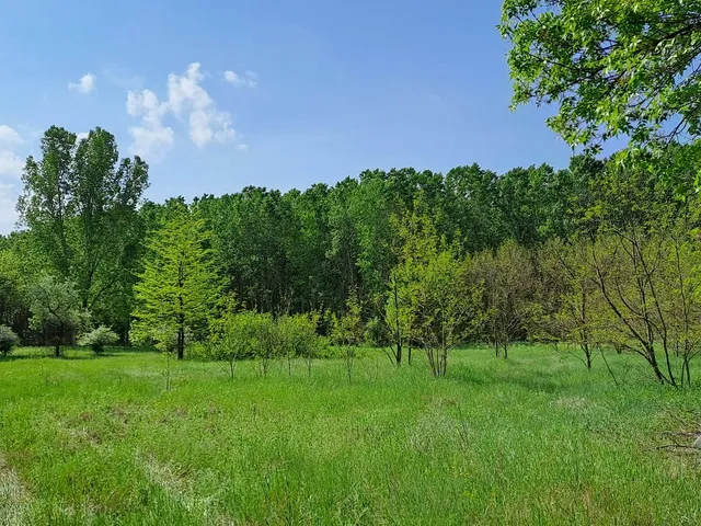 Eladó telek Monor 8037 nm