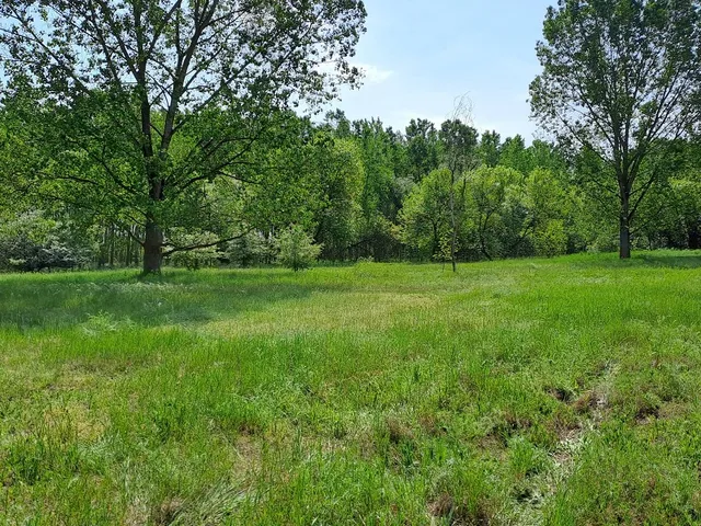 Eladó telek Monor 8037 nm