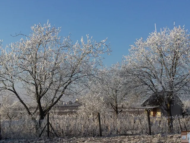 Eladó mezőgazdasági ingatlan Monor 2863 nm