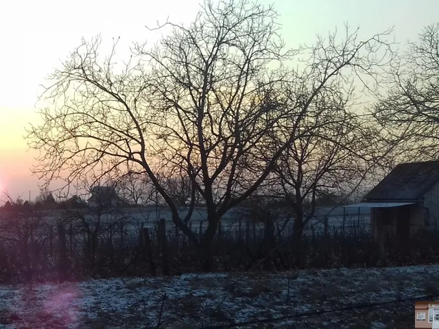 Eladó mezőgazdasági ingatlan Monor 2863 nm