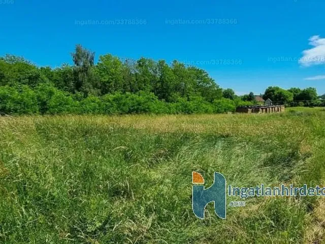 Eladó mezőgazdasági ingatlan Hottó 4022 nm