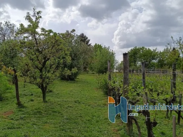 Eladó ház Pécs 1217 nm