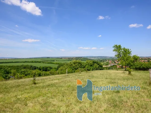 Eladó mezőgazdasági ingatlan Telki 4792 nm