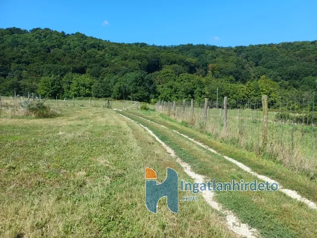 Eladó mezőgazdasági ingatlan Vállus 1695 nm