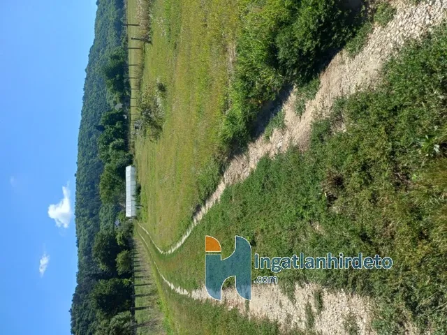 Eladó mezőgazdasági ingatlan Vállus 1695 nm
