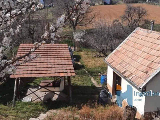 Eladó mezőgazdasági ingatlan Rezi 1014 nm