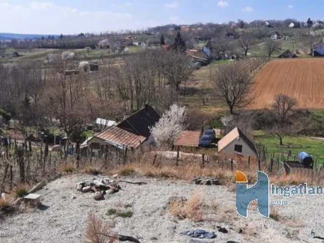 Eladó mezőgazdasági ingatlan Rezi 1014 nm