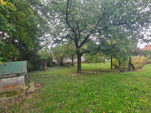 Eladó ház Alsórajk 5019 nm