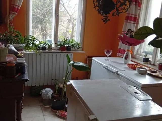 Eladó ház Jászjákóhalma 1000 nm